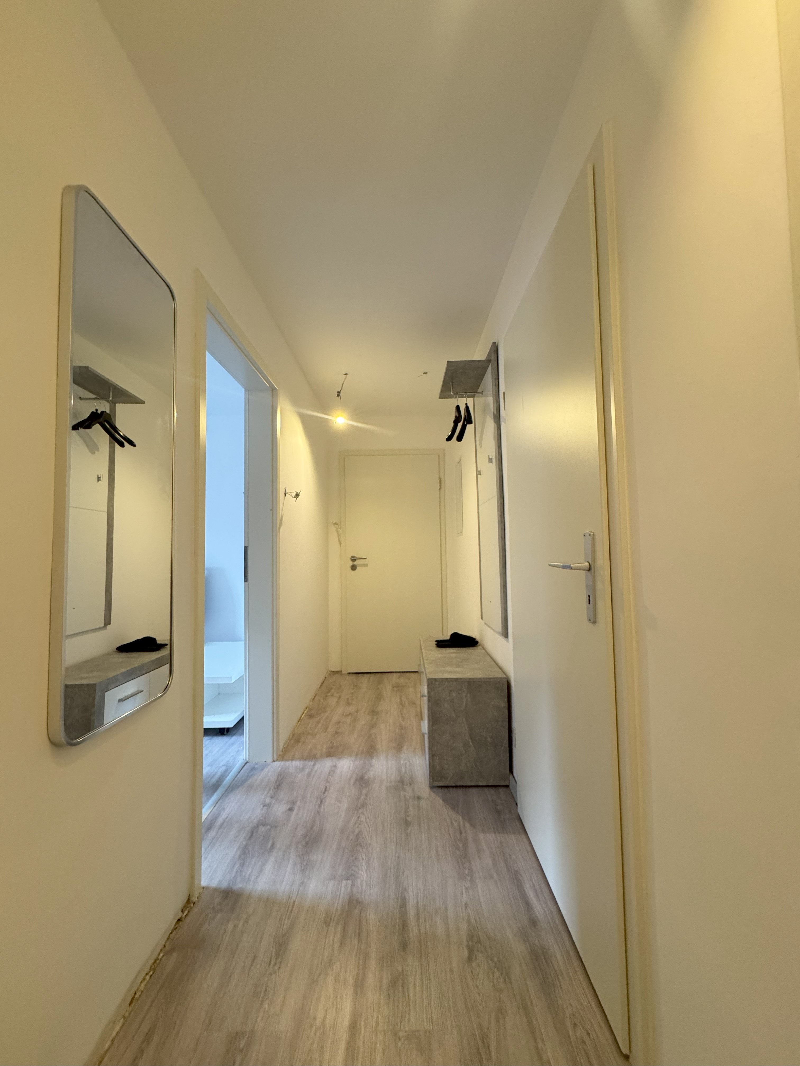 Putz- und Spachtelarbeiten